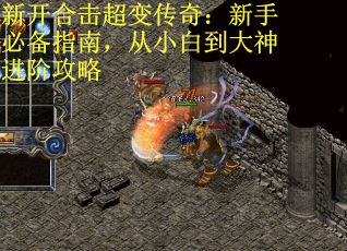新开合击超变传奇：新手必备指南，从小白到大神进阶攻略