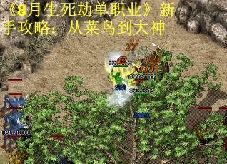 《8月生死劫单职业》新手攻略：从菜鸟到大神