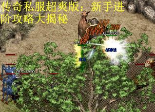 传奇私服超爽版：新手进阶攻略大揭秘