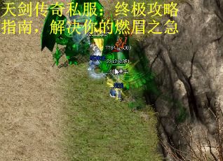 天剑传奇私服：终极攻略指南，解决你的燃眉之急