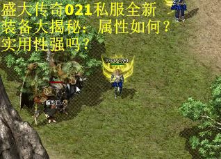 盛大传奇021私服全新装备大揭秘：属性如何？实用性强吗？