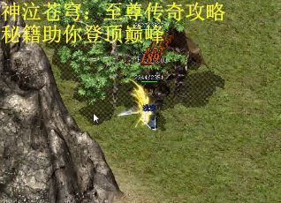 神泣苍穹：至尊传奇攻略秘籍助你登顶巅峰