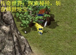 传奇世界：探索秘径，斩获稀世珍宝