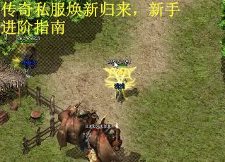 传奇私服焕新归来，新手进阶指南