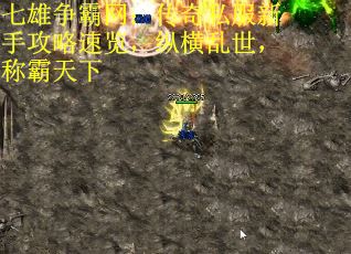 七雄争霸网：传奇私服新手攻略速览，纵横乱世，称霸天下