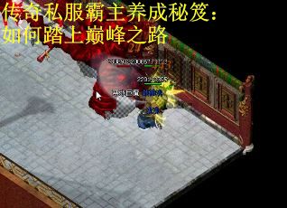 传奇私服霸主养成秘笈：如何踏上巅峰之路