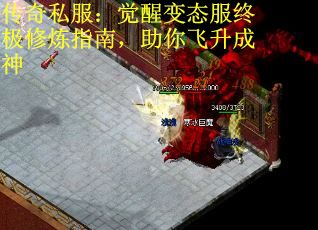传奇私服：觉醒变态服终极修炼指南，助你飞升成神
