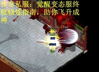 传奇私服：觉醒变态服终极修炼指南，助你飞升成神