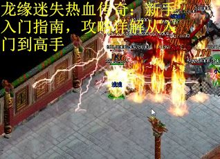 龙缘迷失热血传奇：新手入门指南，攻略详解从入门到高手