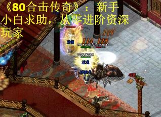 《80合击传奇》：新手小白求助，从零进阶资深玩家