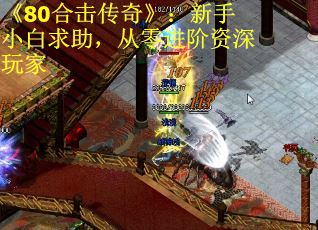 《80合击传奇》：新手小白求助，从零进阶资深玩家