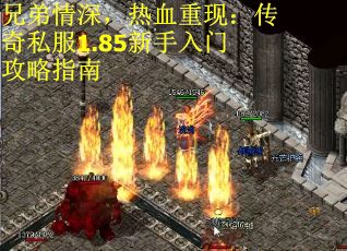 兄弟情深，热血重现：传奇私服1.85新手入门攻略指南