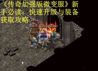 《传奇加强版微变服》新手必读：快速升级与装备获取攻略