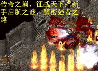 传奇之巅，征战天下：新手启航之谜，解密强者之路