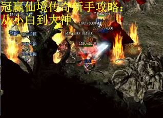 冠赢仙境传奇新手攻略：从小白到大神