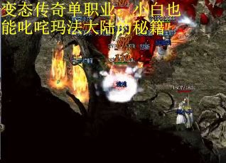 变态传奇单职业：小白也能叱咤玛法大陆的秘籍