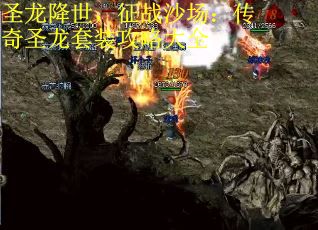 圣龙降世，征战沙场：传奇圣龙套装攻略大全