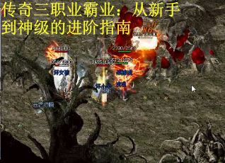 传奇三职业霸业：从新手到神级的进阶指南