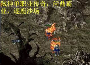 弑神单职业传奇：问鼎霸业，逐鹿沙场