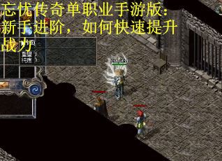 忘忧传奇单职业手游版：新手进阶，如何快速提升战力