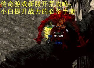 传奇游戏新服开荒攻略：小白提升战力的必备手册