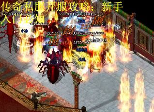 传奇私服开服攻略：新手入门必知