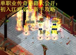 单职业传奇秘籍大公开：初入江湖必备新手攻略
