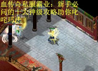 血传奇私服霸业：新手必问的十大神级攻略助你叱咤玛法