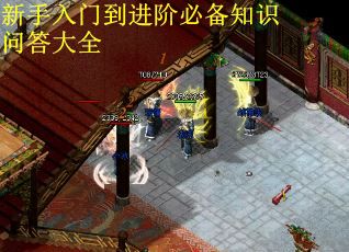 新手入门到进阶必备知识问答大全