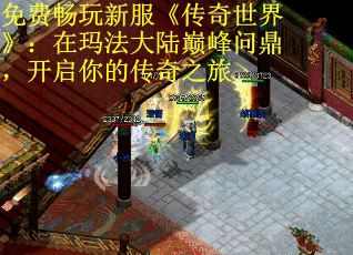 免费畅玩新服《传奇世界》：在玛法大陆巅峰问鼎，开启你的传奇之旅