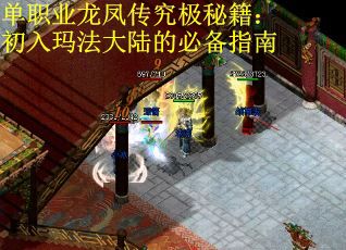 单职业龙凤传究极秘籍：初入玛法大陆的必备指南