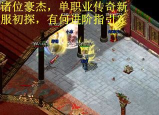 诸位豪杰，单职业传奇新服初探，有何进阶指引？