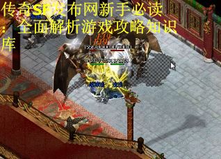 传奇SF发布网新手必读：全面解析游戏攻略知识库