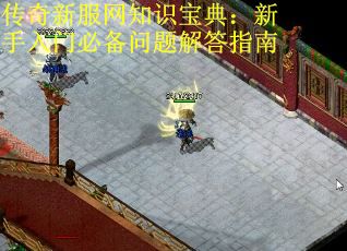 传奇新服网知识宝典：新手入门必备问题解答指南