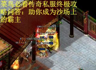菜鸟必看传奇私服终极攻略问答：助你成为沙场上的霸主