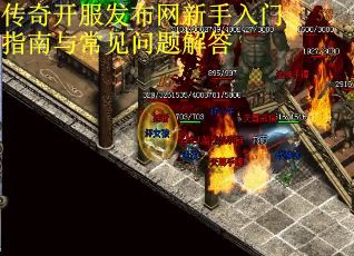 传奇开服发布网新手入门指南与常见问题解答