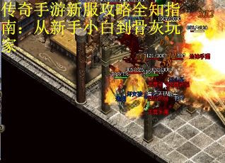 传奇手游新服攻略全知指南：从新手小白到骨灰玩家