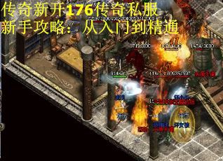 传奇新开176传奇私服新手攻略：从入门到精通