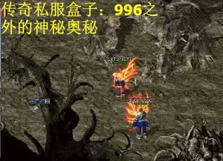 传奇私服盒子：996之外的神秘奥秘