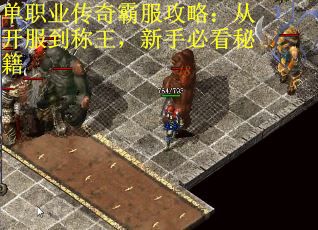 单职业传奇霸服攻略：从开服到称王，新手必看秘籍