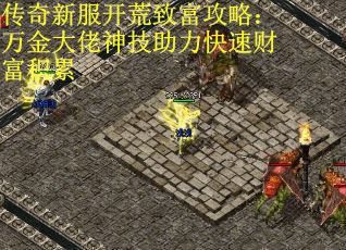 传奇新服开荒致富攻略：万金大佬神技助力快速财富积累