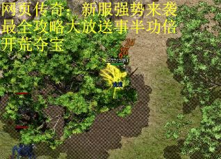 网页传奇：新服强势来袭最全攻略大放送事半功倍开荒夺宝