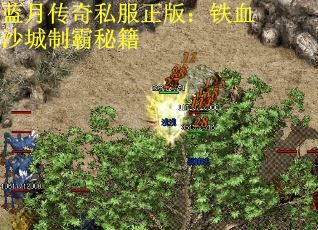 蓝月传奇私服正版：铁血沙城制霸秘籍