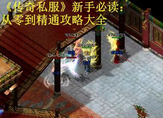 《传奇私服》新手必读：从零到精通攻略大全