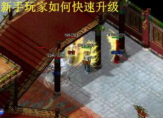 新手玩家如何快速升级