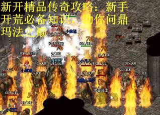 新开精品传奇攻略：新手开荒必备知识，助你问鼎玛法之巅