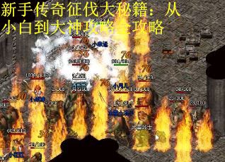 新手传奇征伐大秘籍：从小白到大神攻略全攻略