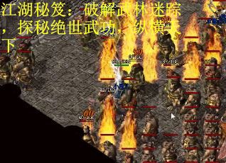 江湖秘笈：破解武林迷踪，探秘绝世武功，纵横天下
