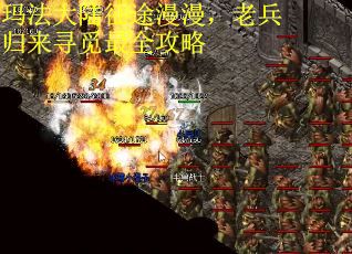 玛法大陆征途漫漫，老兵归来寻觅最全攻略