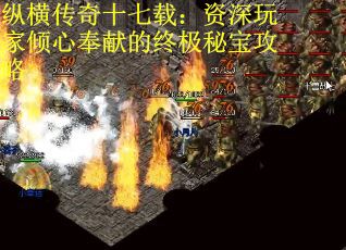 纵横传奇十七载：资深玩家倾心奉献的终极秘宝攻略